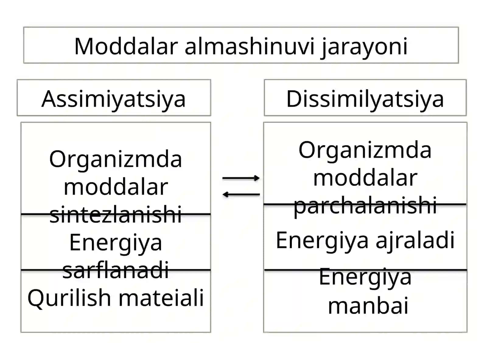 Hujayrava organizmining hayotiy xossalari 4