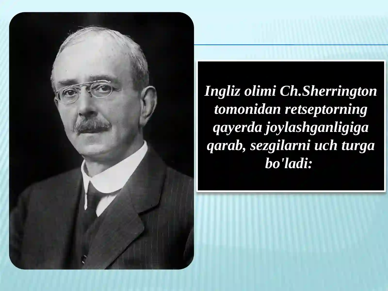 SEZGI 4