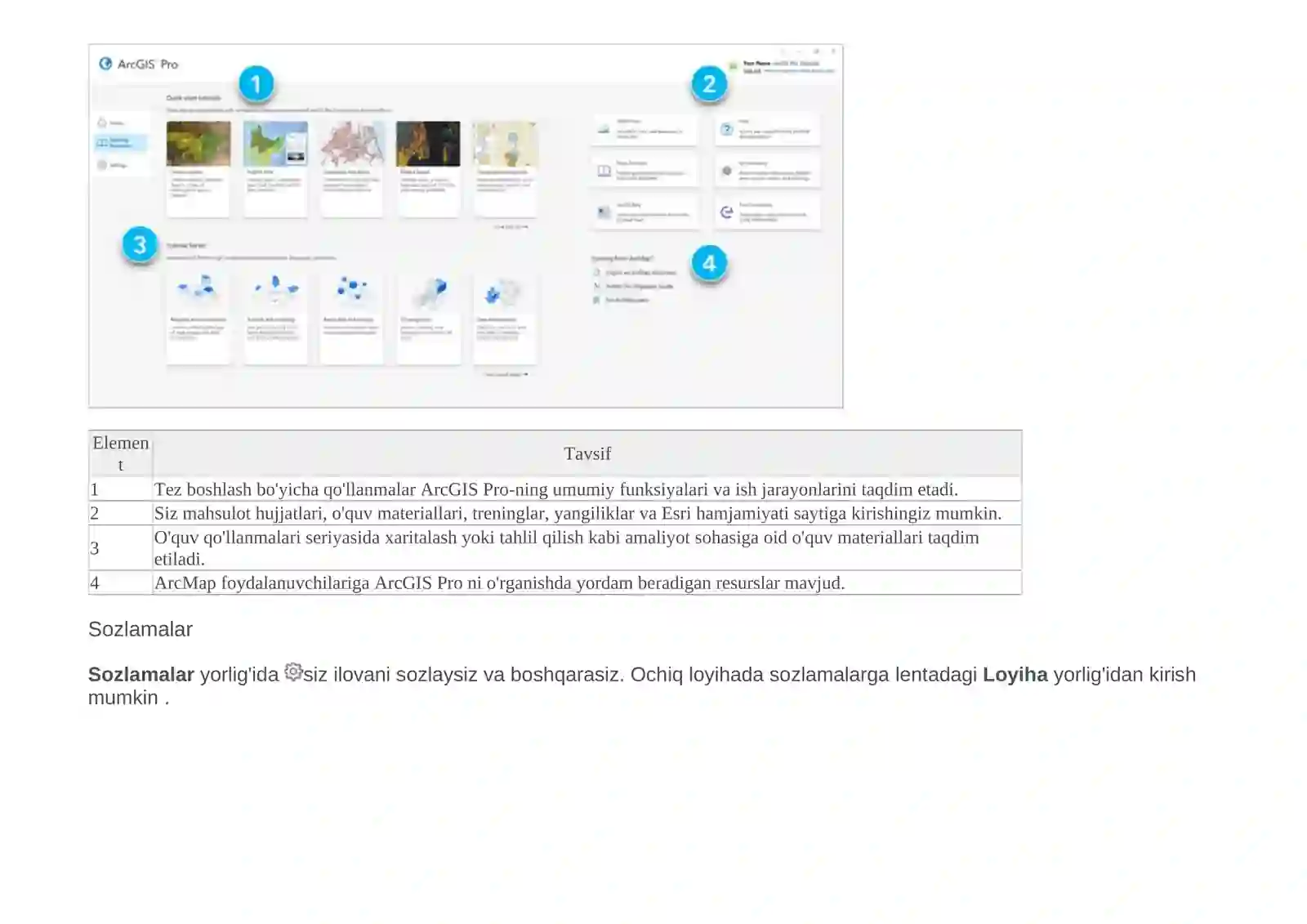 ArcGIS Pro 4