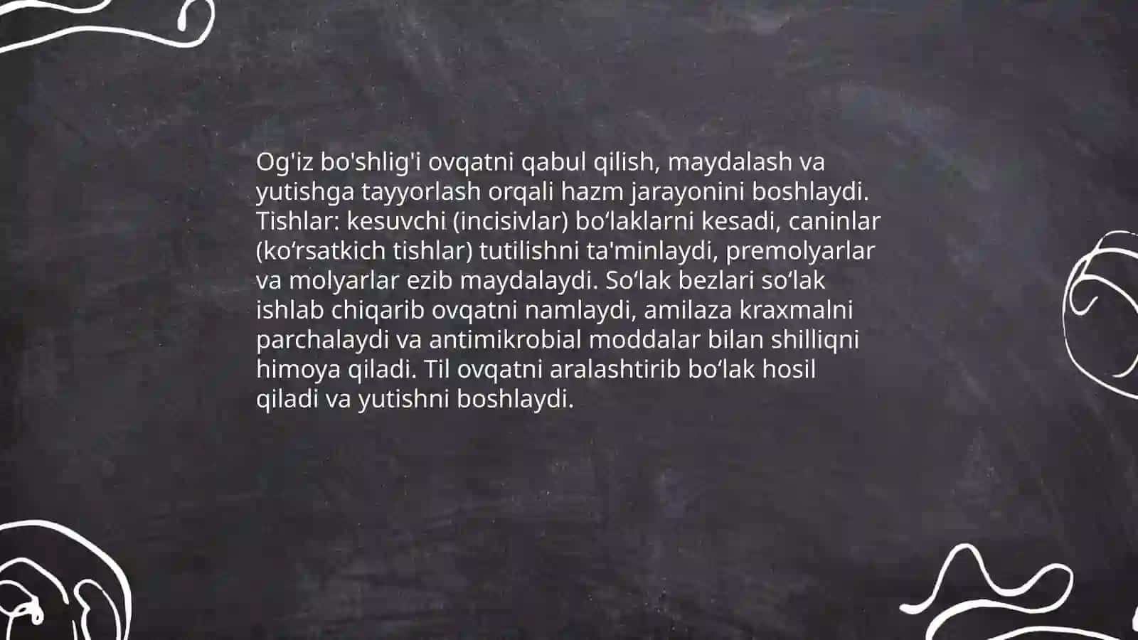 Ovqat hazm qilish sistemasi 4