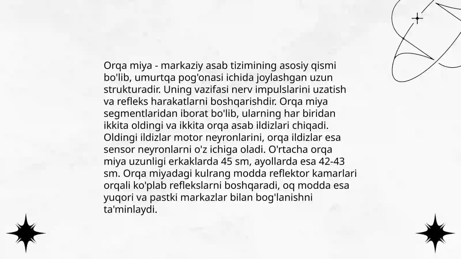 Markaziy nerv tizimining funksional anatomiyasi 4