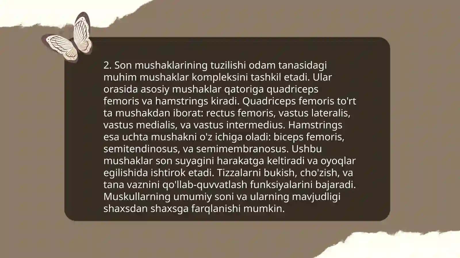 Oyoq mushaklari tuzilishi 4
