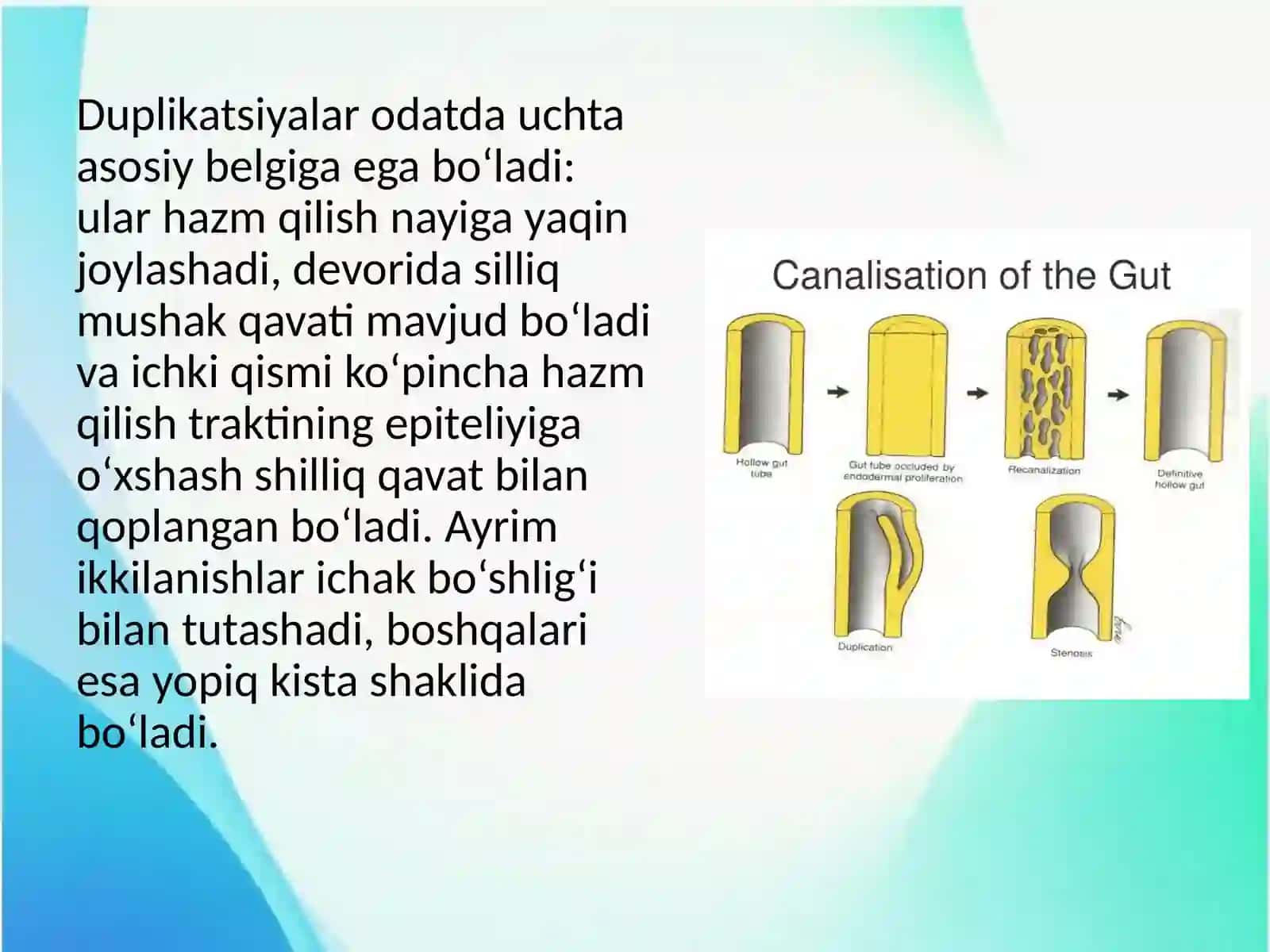 Hazm qilish nayining ikkilanishi 4
