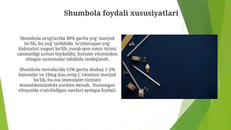 Shumbola 4