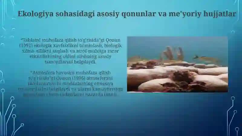 Davlatning tabiiy resurislardan foydalanish va ekologiya siyosati 4