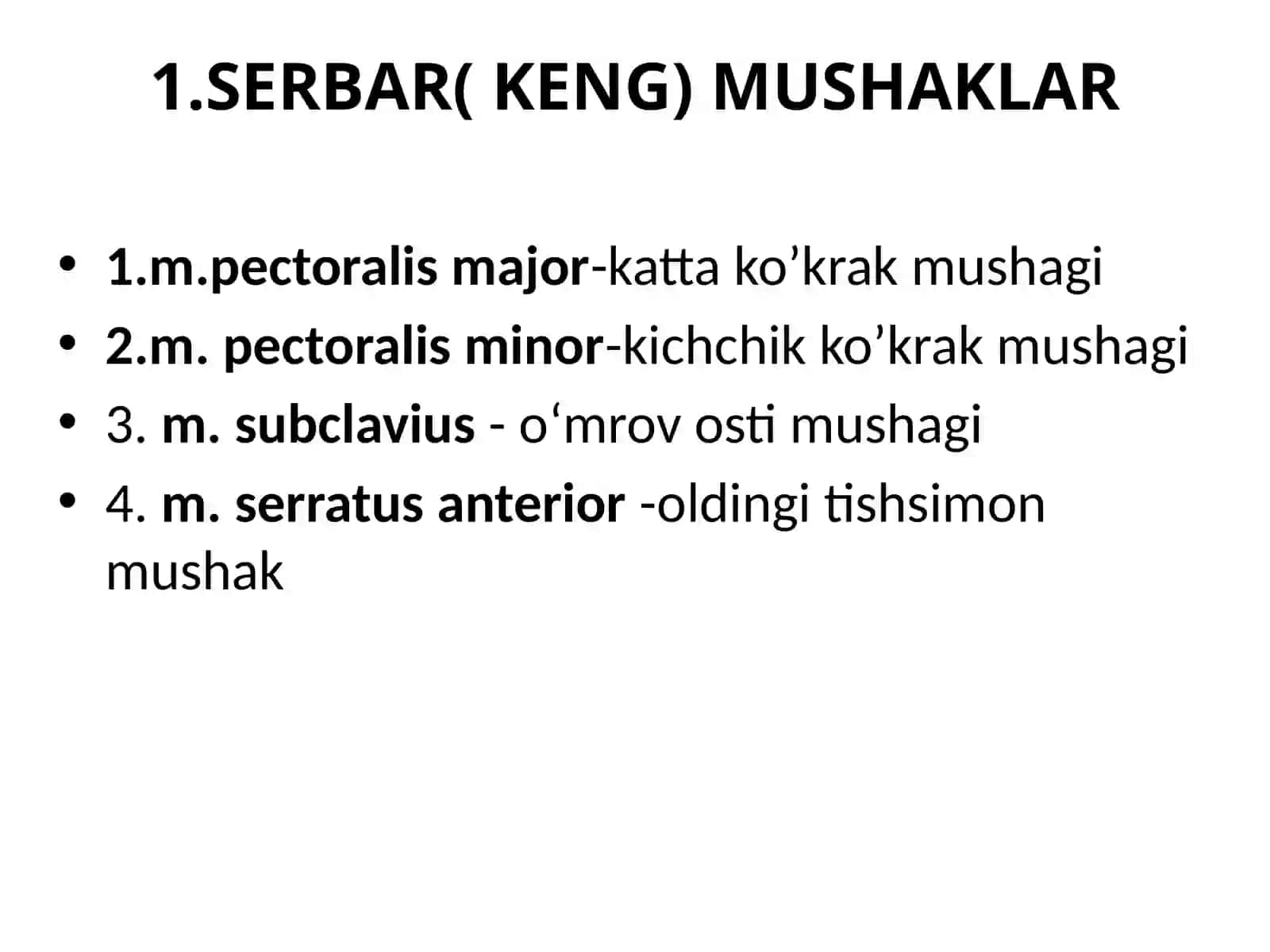 Ko’krak va qorin mushaklar 4