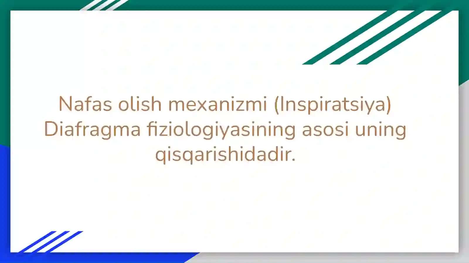 Dıafragma muwaklar fızıologıyası 4