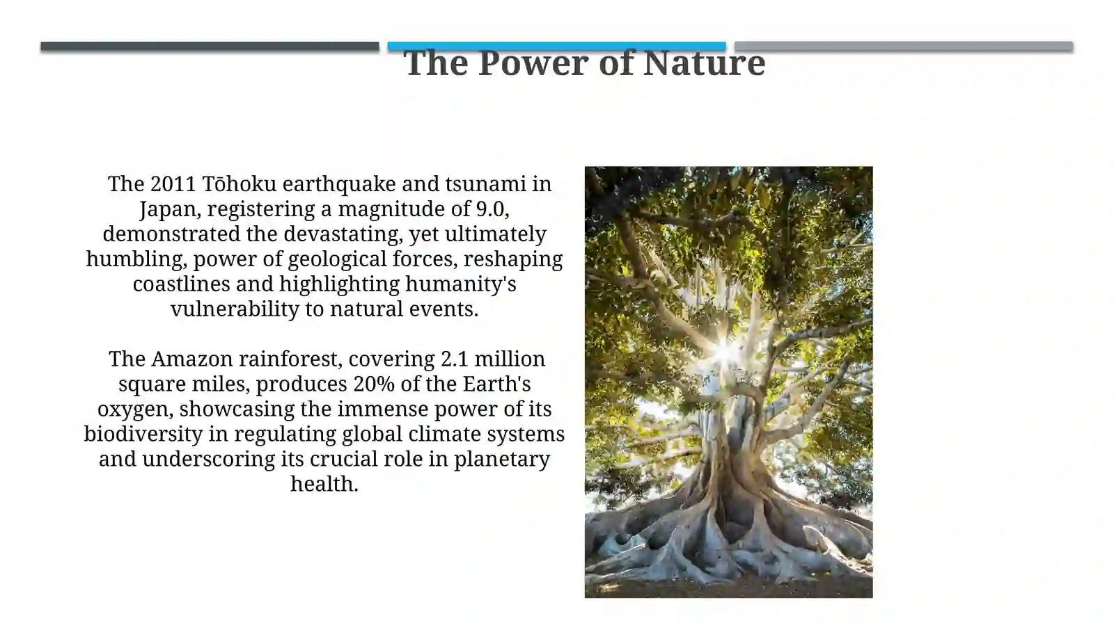 Nature 4