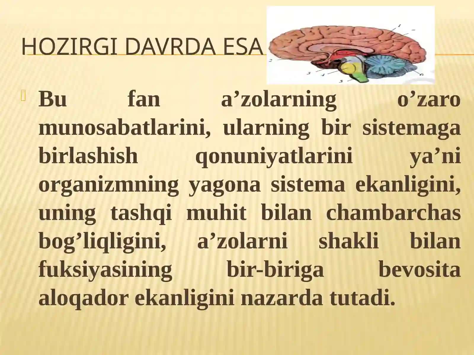 ODAM ANATOMIYASI FANINING MAQSADI VA VAZIFALARI 4