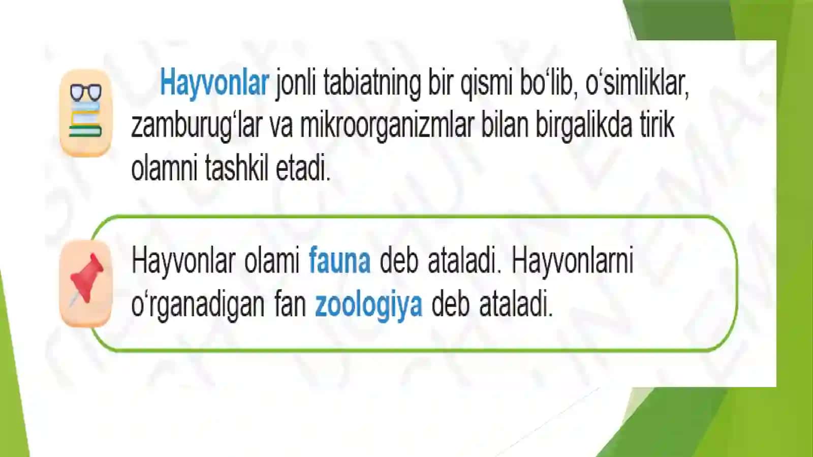 Hayvonlar 4