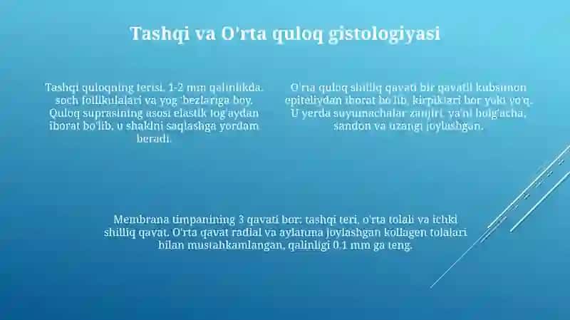Sezgi aʼzolari. Quloq gistologiyasi 4