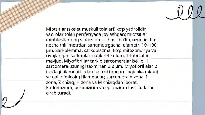 Muskul to‘qimalar sistemasi gistomorfologik tuzilishi 4