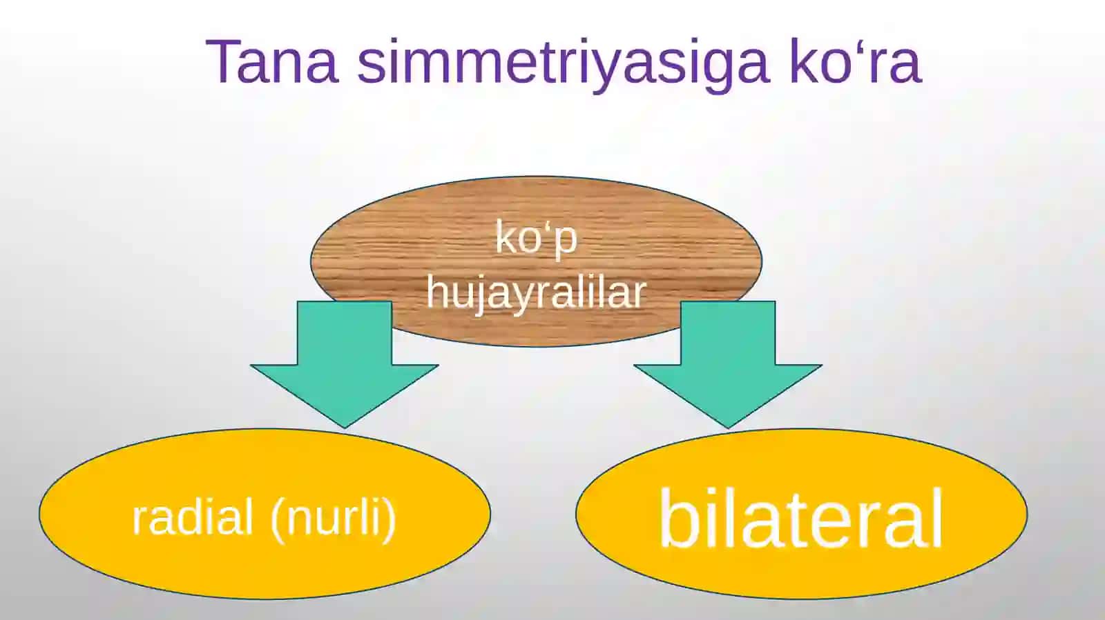 Parazitlik asoslari. Parazitlikning kelib chiqishi 4