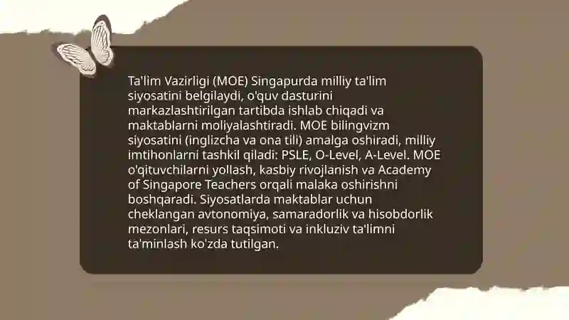 Singapur talim tizimi 4