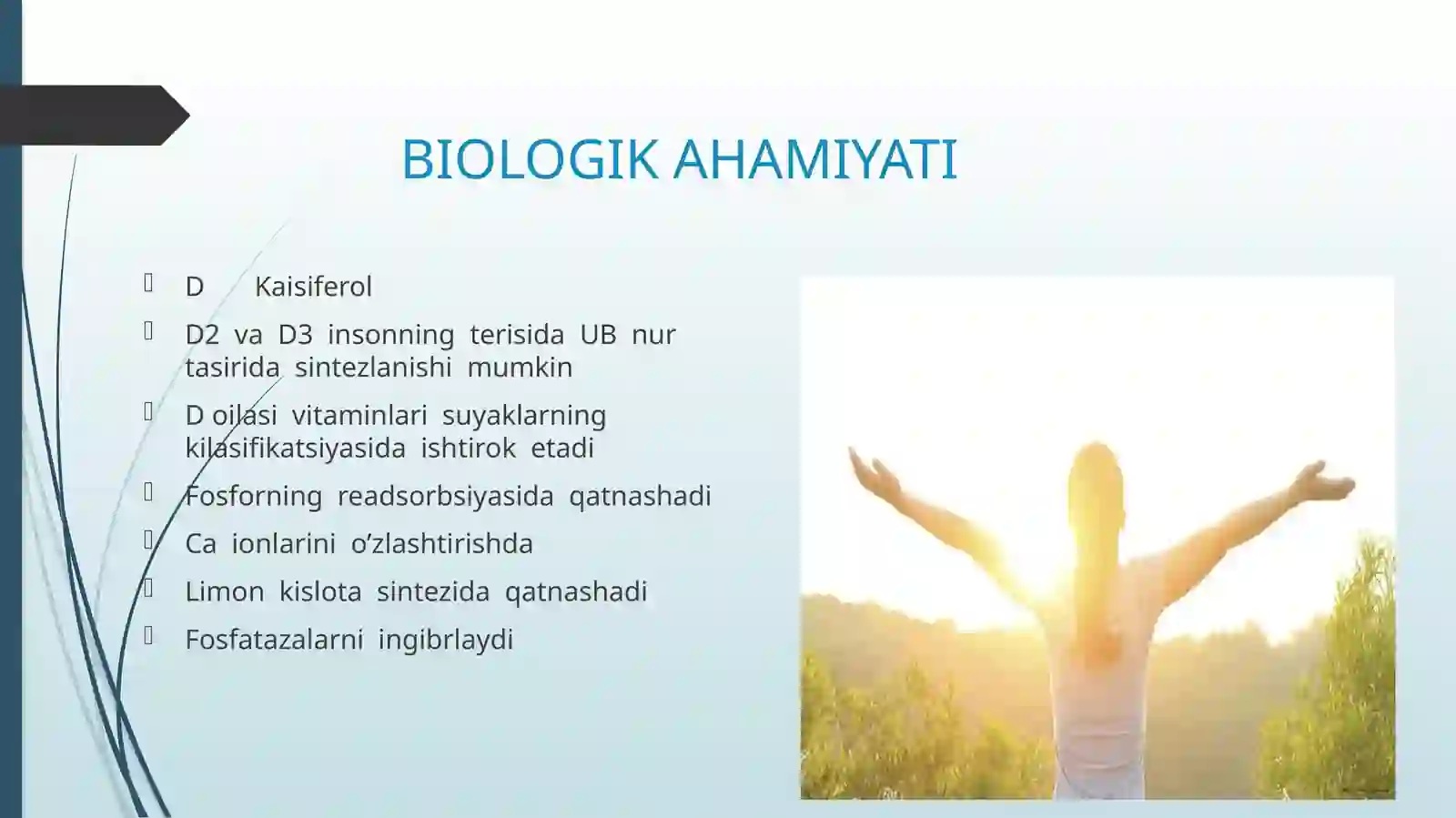 SanotasosidaDvitamininiishlabchiqarishtexnalogiyasi 4