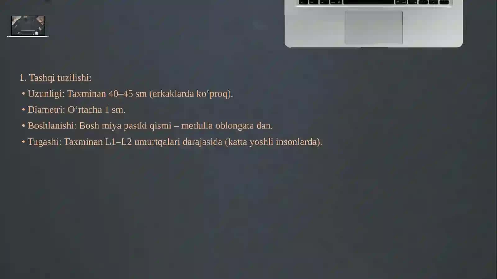Orqa miyya va ularning roli 4