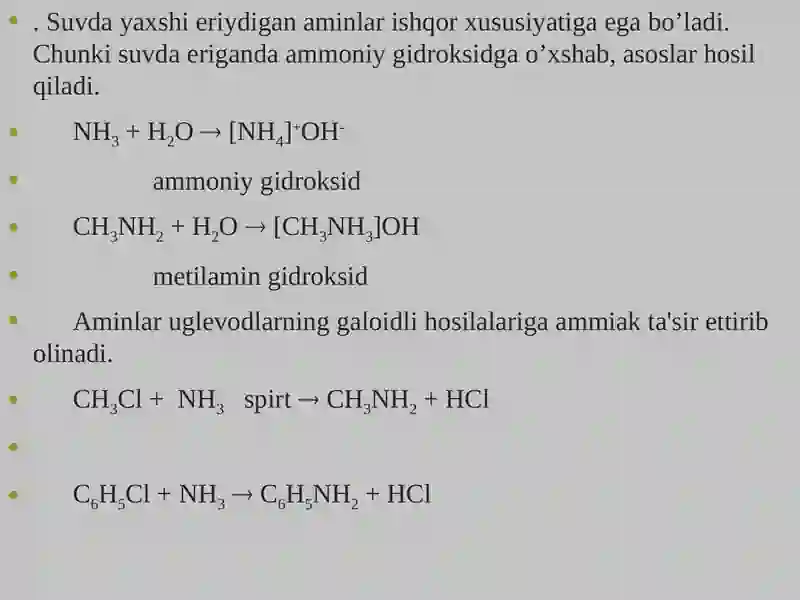 Aminlar 4