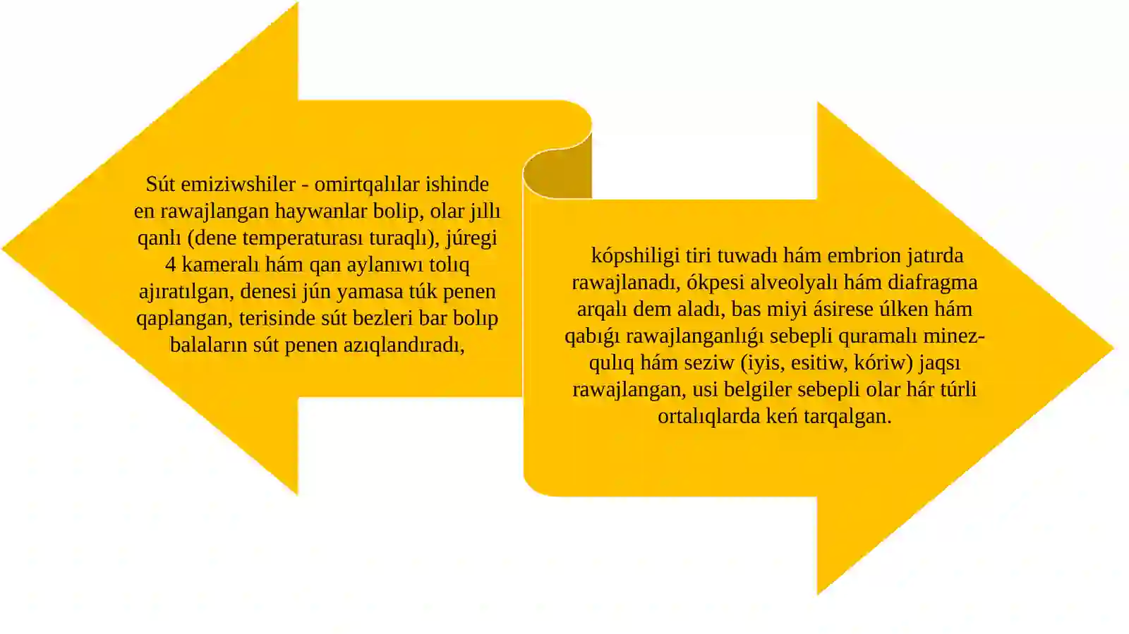 Sút emiziwshilerdiń individual qásiyetleri 4