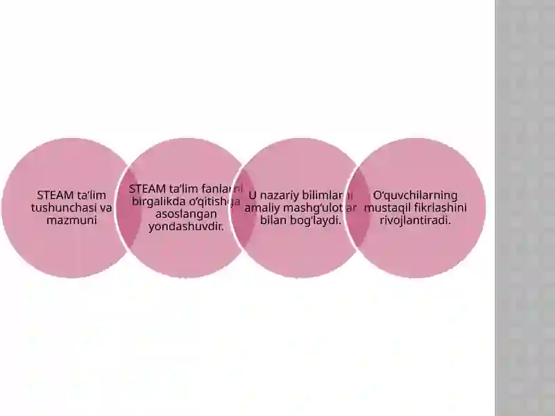 STEAM TA'LIM 4