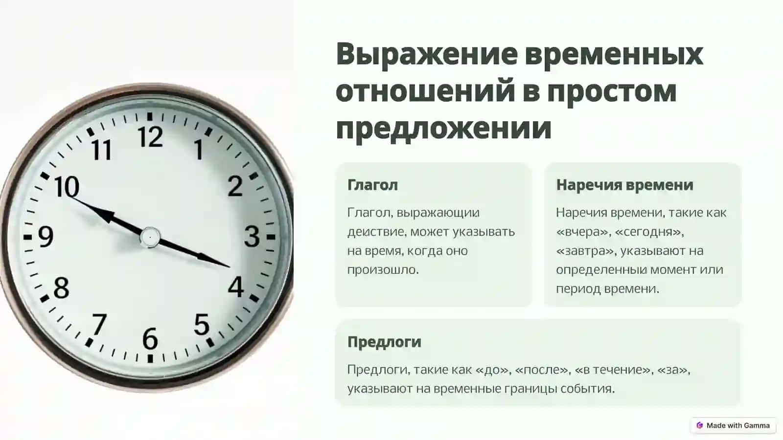 Скелет туловища: Основа движения и защиты 4