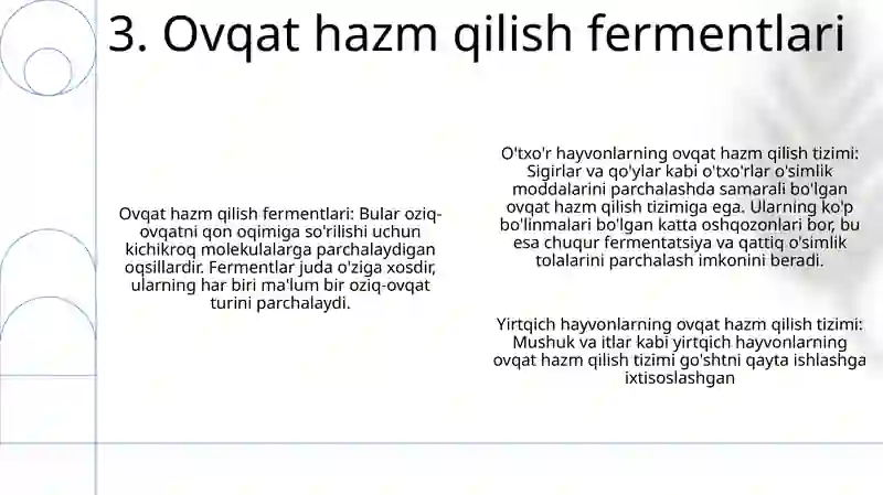 Sutemizuvchilarning Hazm Qilish Sistemasi 4