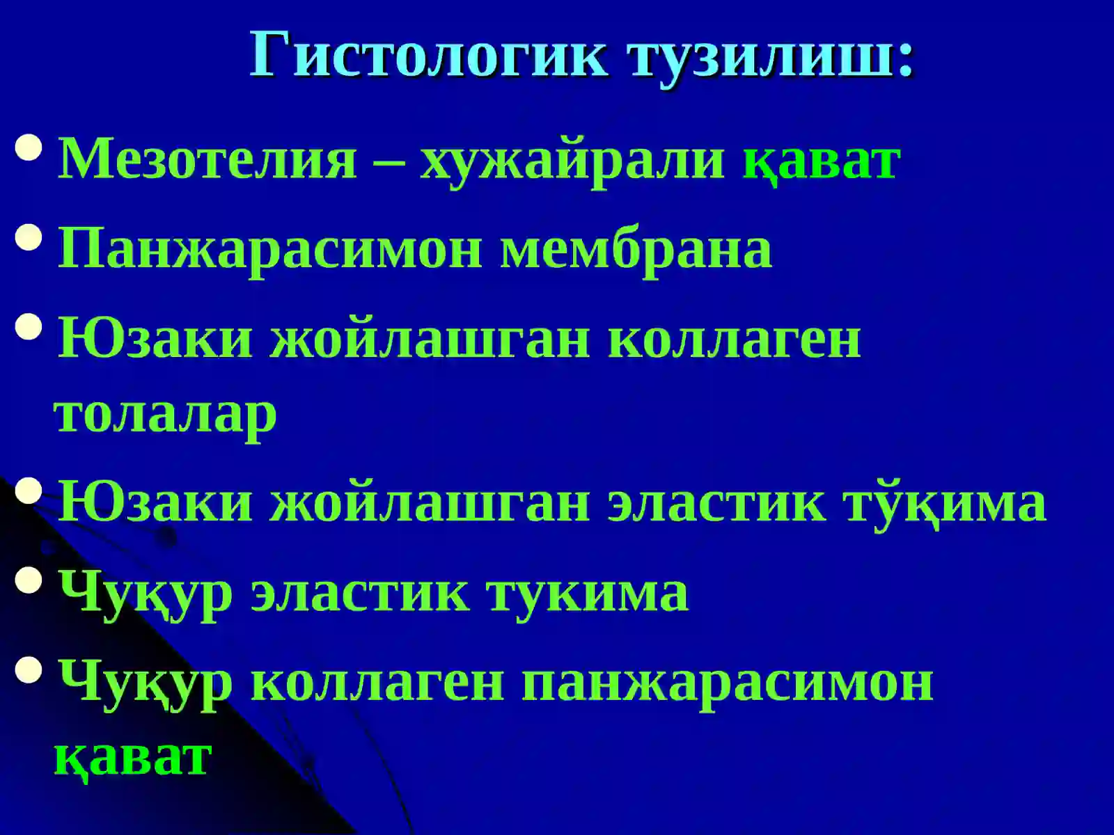 Плевратуберкулези.Туберкулез менингити 4