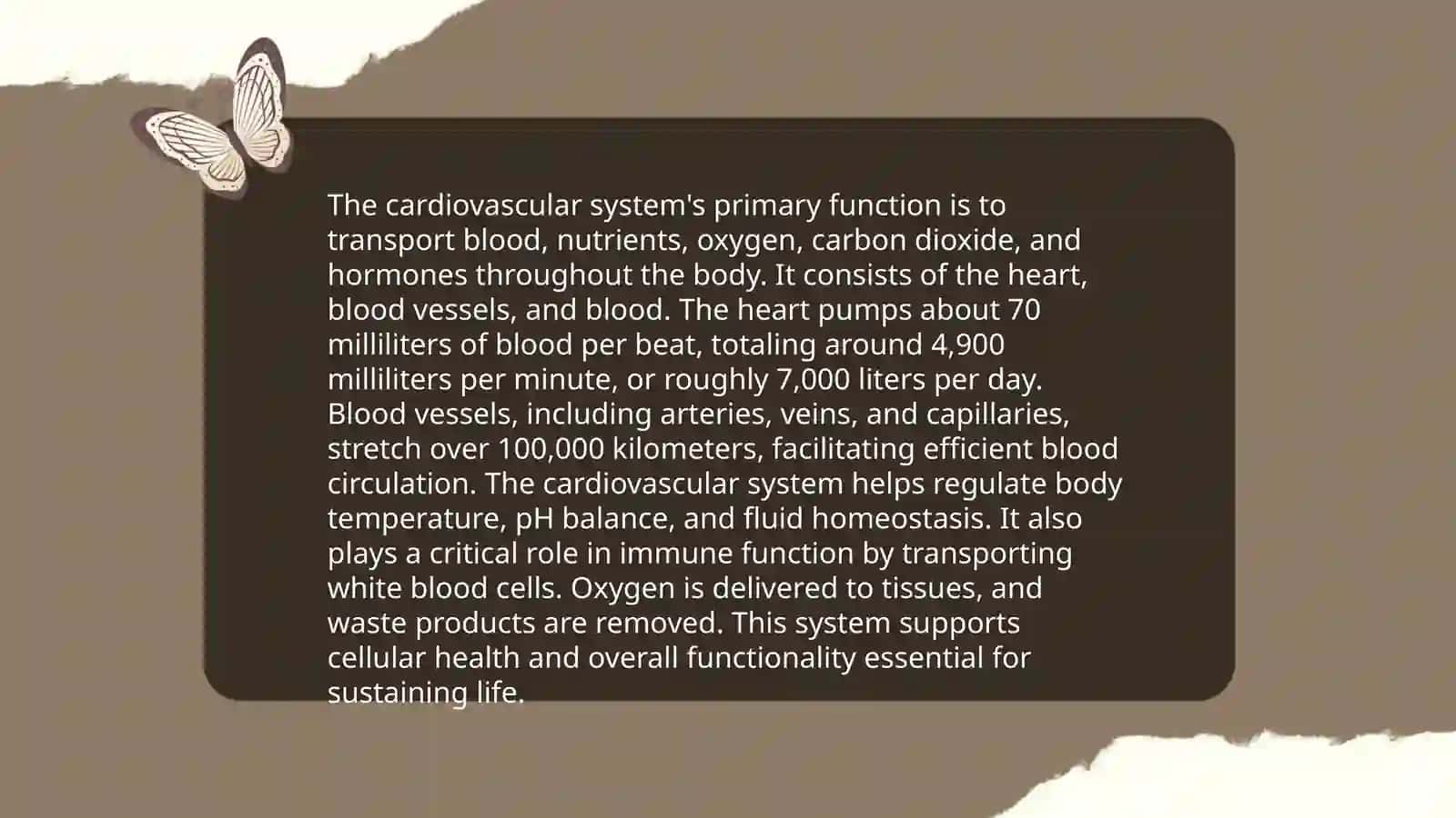 Yurak va qon aylanish sistemasi 4