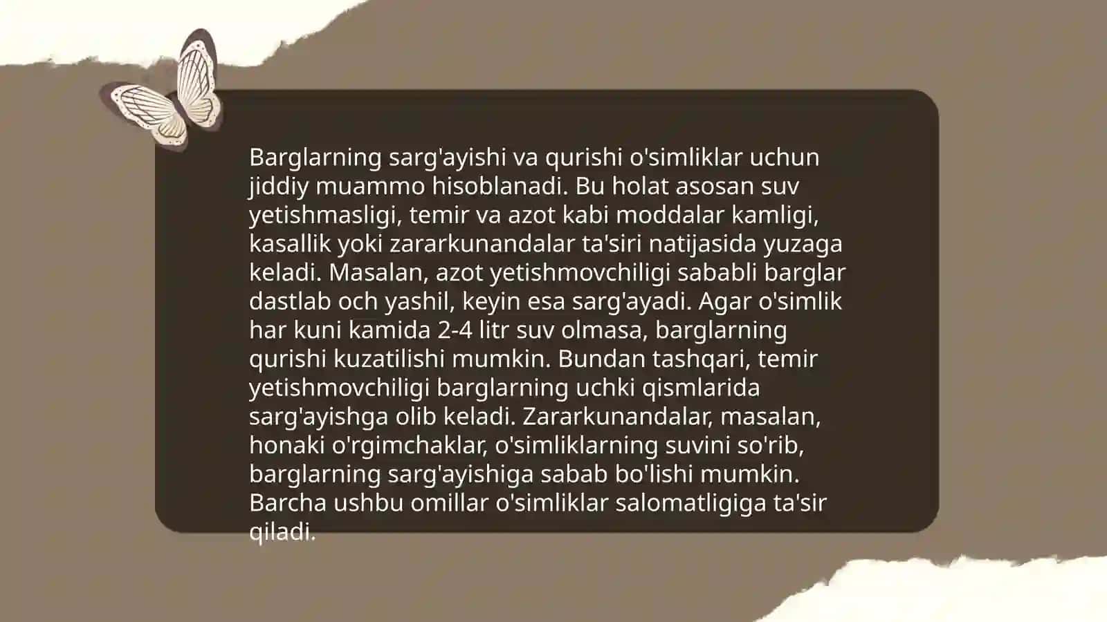 Xona o'simliklarida uchraydigan kasalliklarga qarshi kurashish 4