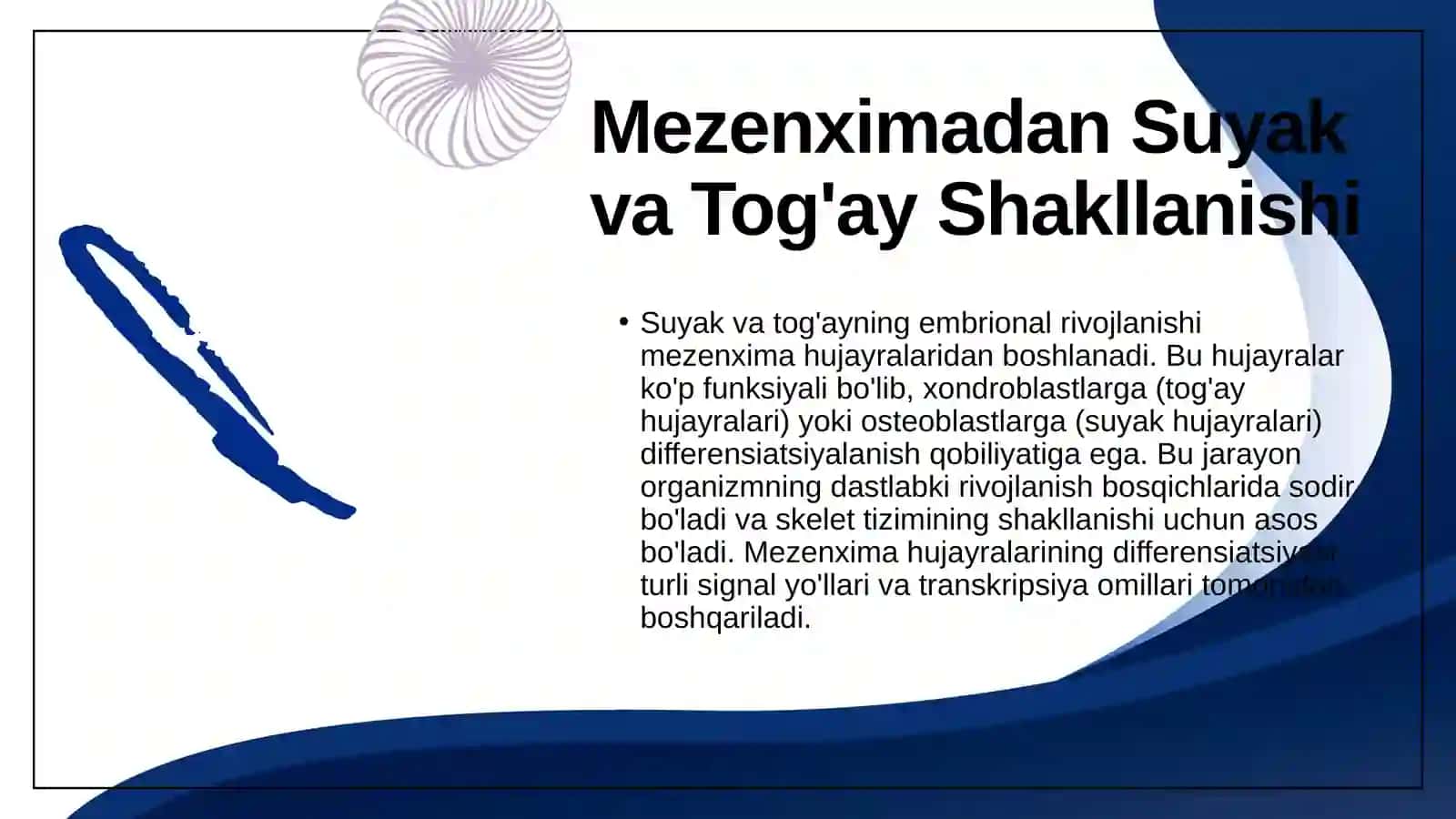 Suyak va Tog'ay Taraqqiyoti 4