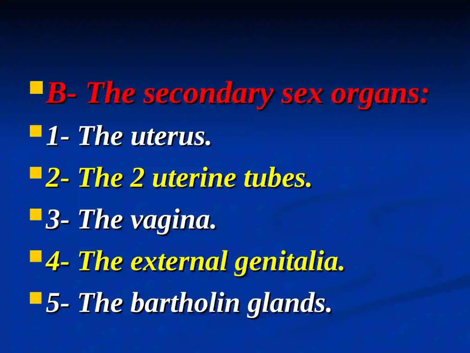 Female reproductive system 4
