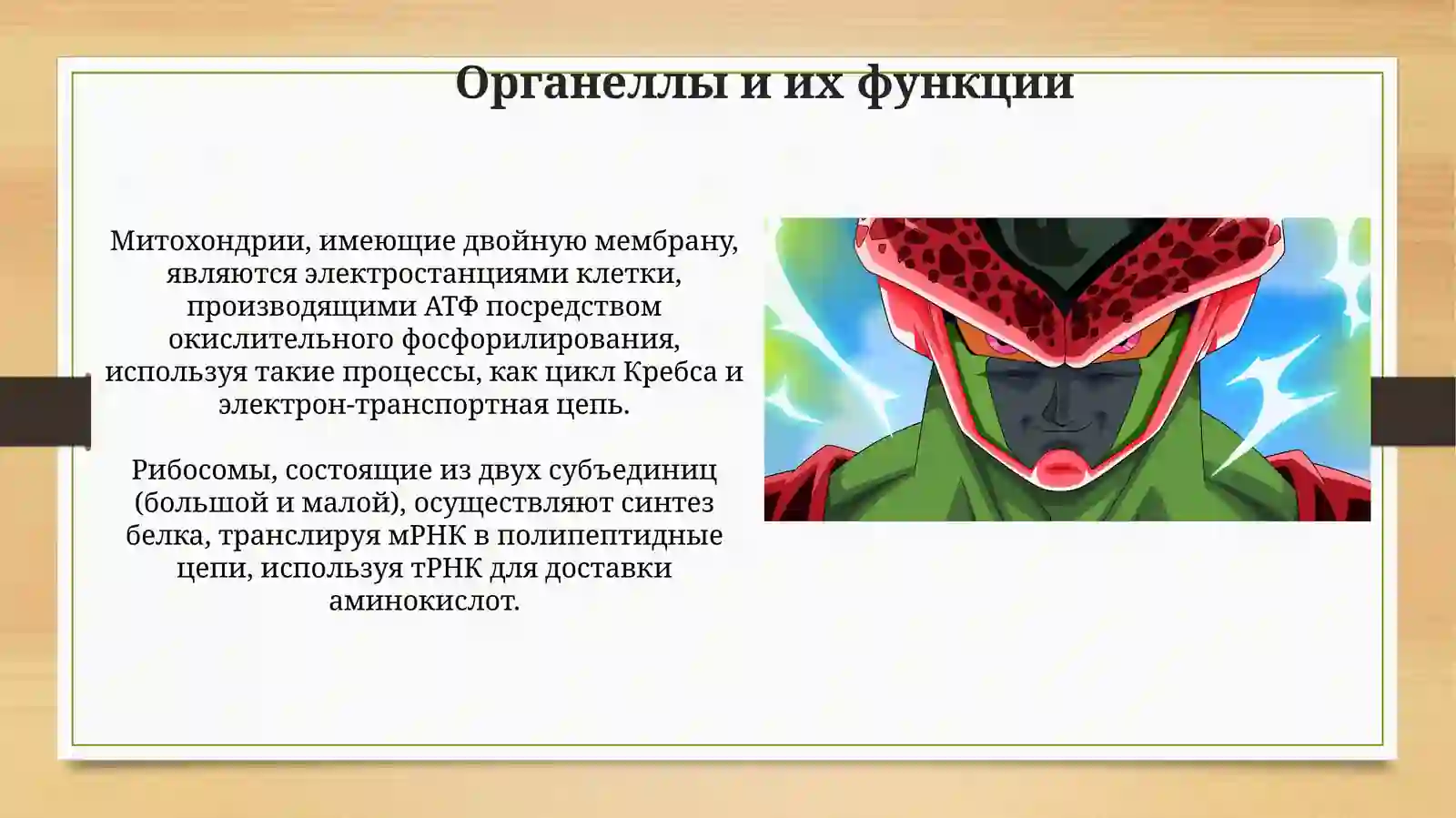 Клетка 4