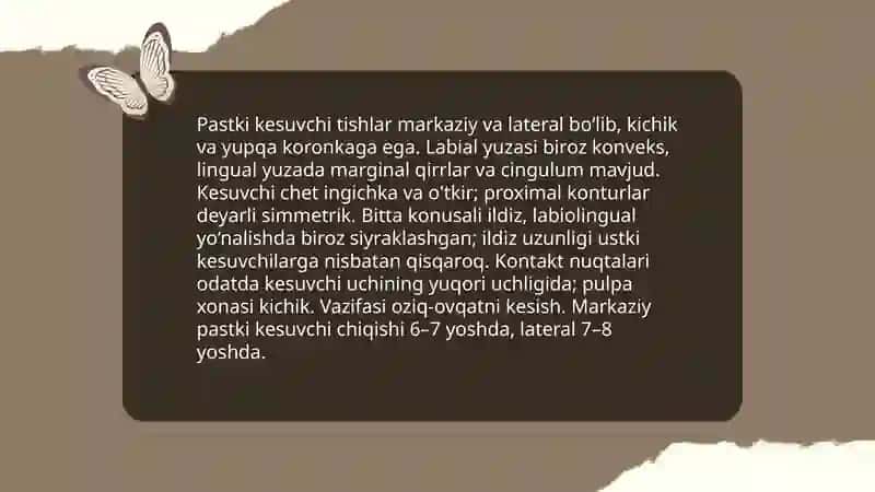 Yuqori va pastki jagʻ tishlarining anatomik shakllari 4