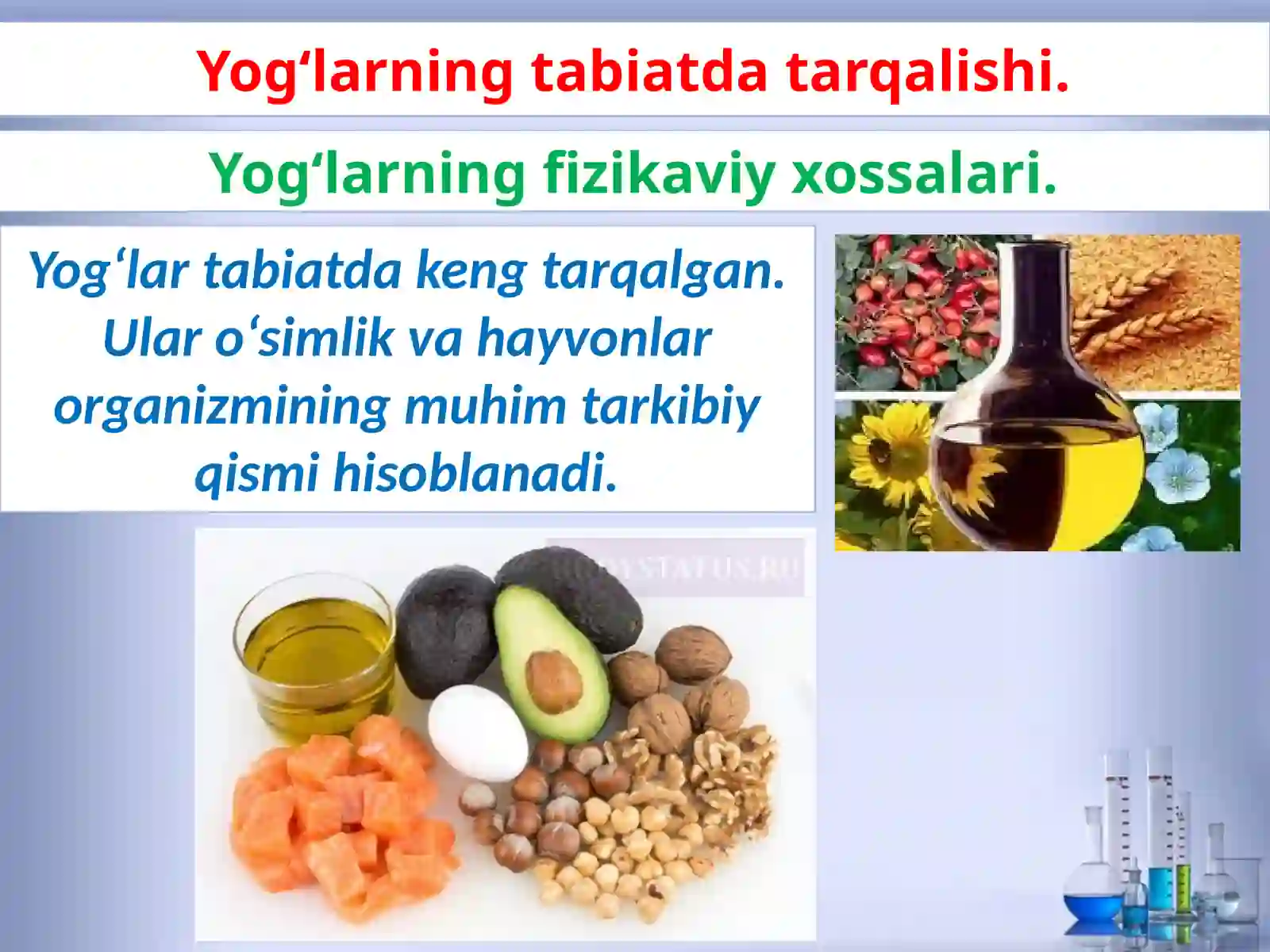 Yog’lar.Olinishivaxossalari 4