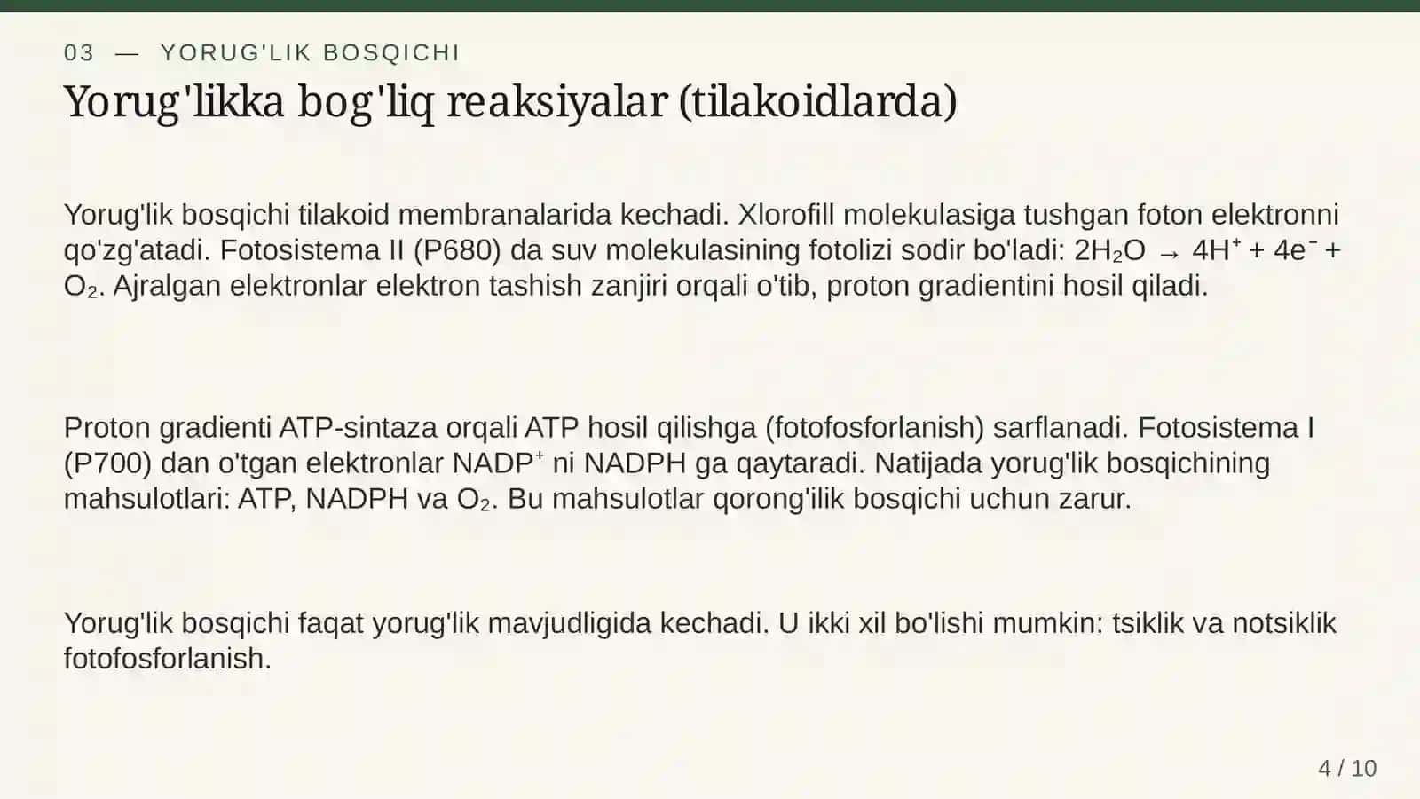 Fotosintez jarayoni va uning biologik ahamiyati 4