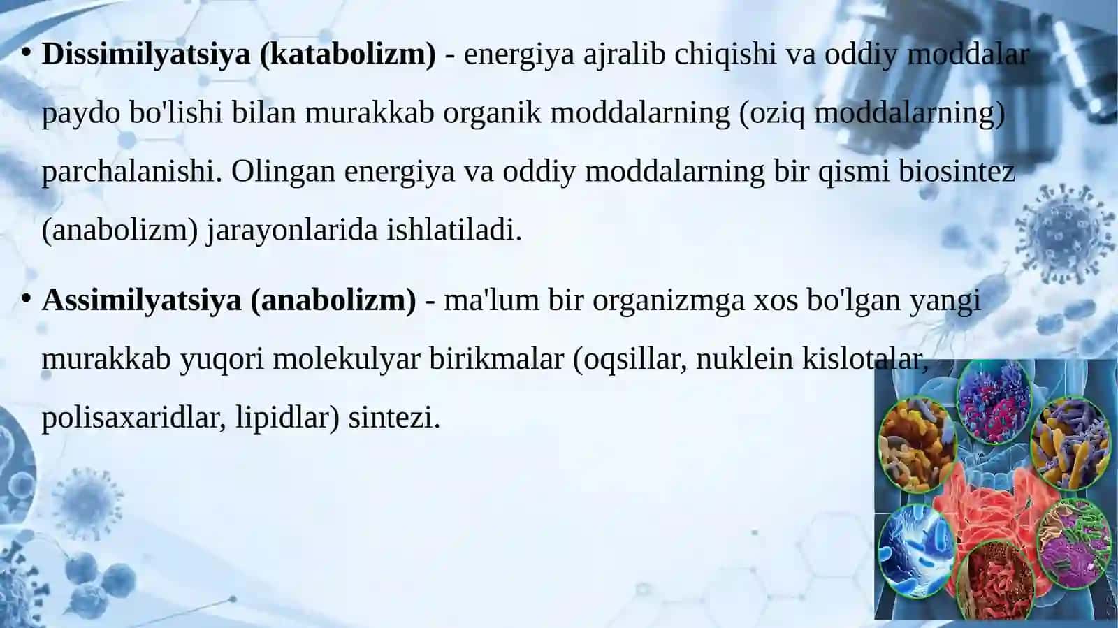 Mikroorganizmlar fiziologiyasi 4