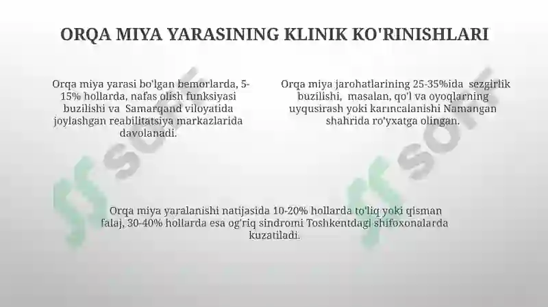 Orqa miya anatomiyasi 4