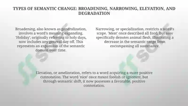Understanding Semantic Change: Types and Mechanisms 4