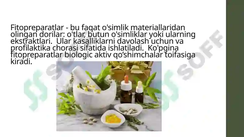 FITOPREPARATLAR VA ULARNING QO’LLANISHI 4