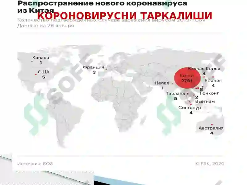 Коронавирусли инфекция 4
