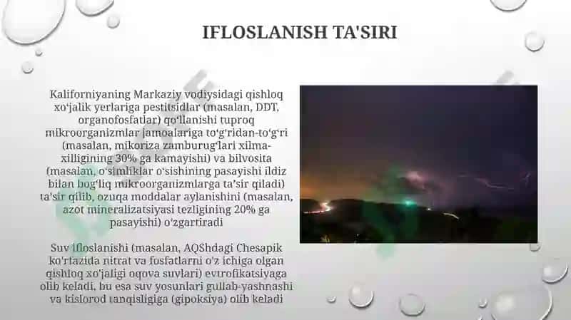 Tashqi muhit omillarining mikroorganizmlarga ta'siri 4