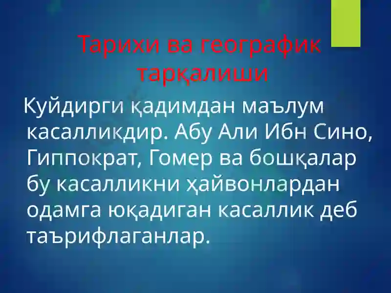 Куйдирги 4
