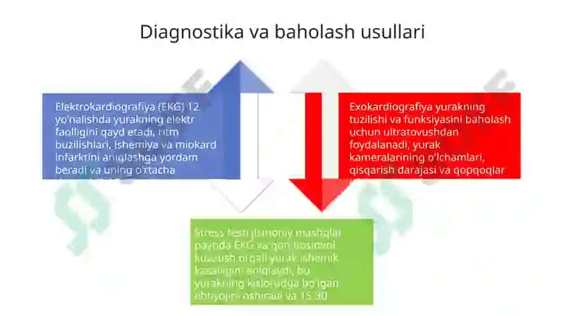 Kardiovaskulyar Kasalliklarni Parvarishlash va Monitoring qilish Asoslari 4