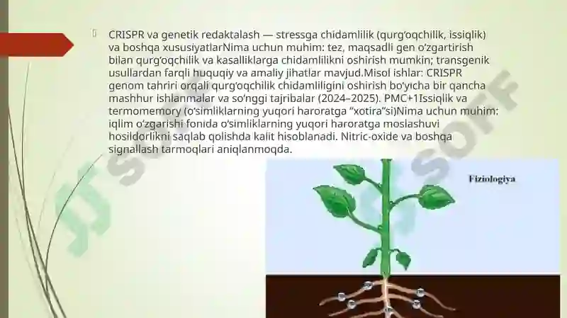 O’simliklar fiziologiyasi yuzasidan chet el ilmiy tadqiqotlar va ular haqida ilmiy maqolalarni tahlil qilish 4