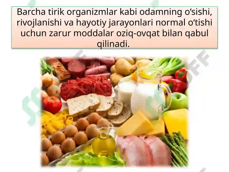 ODAMNING OVQAT HAZM QILISH SISTEMASI 4