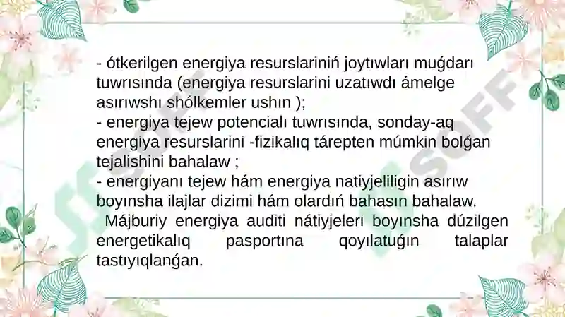 Energetik Pasport 4