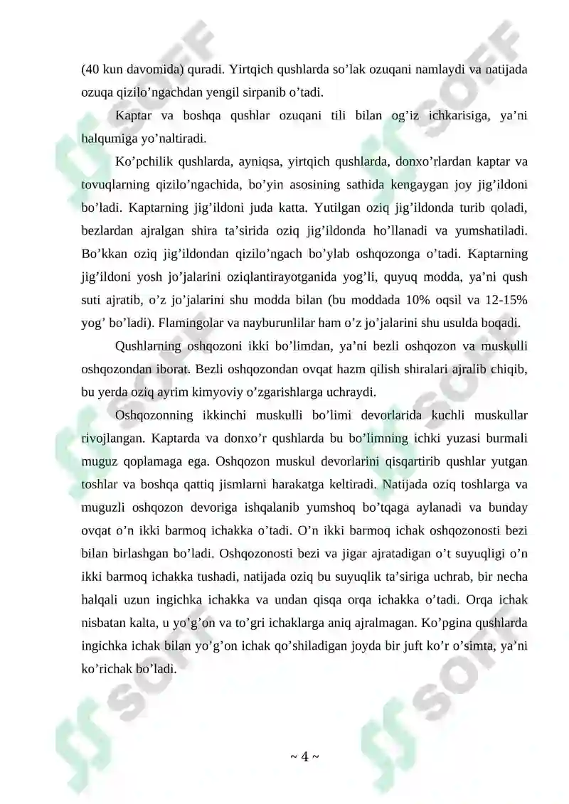 Qushlar sinfi Kurs ishi 4