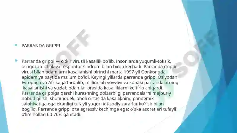 PARRANDA GRIPPI 4