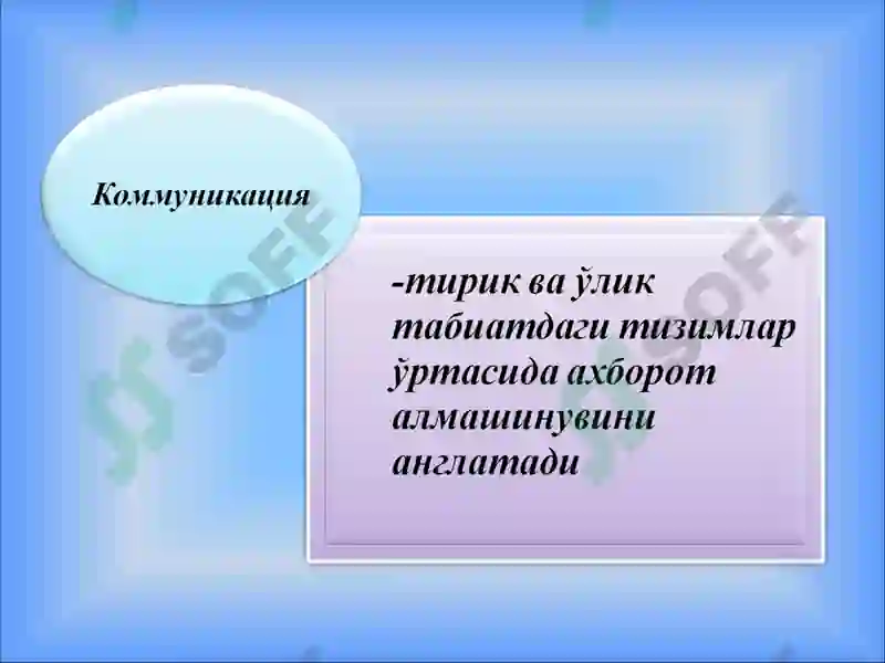 Мулоқот 4