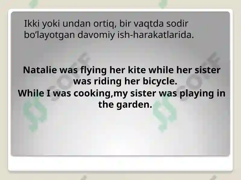 Past Continuous Tense 4