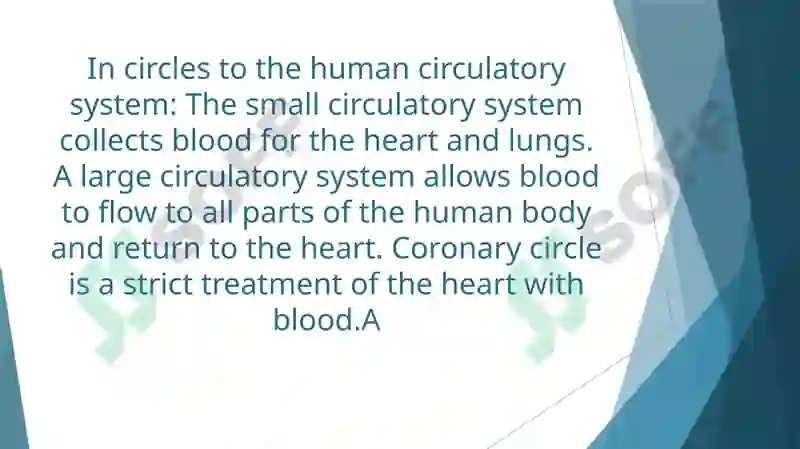 Heart and Vascular System 4